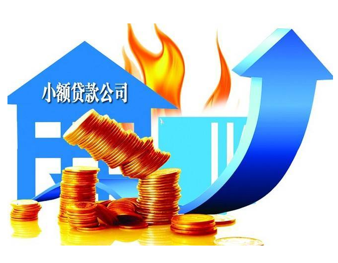 小額貸款業(yè)務（主要面向”三農(nóng)“、中小微企業(yè)）-海南/?？?三亞代辦-易企算會計事務所有限公司