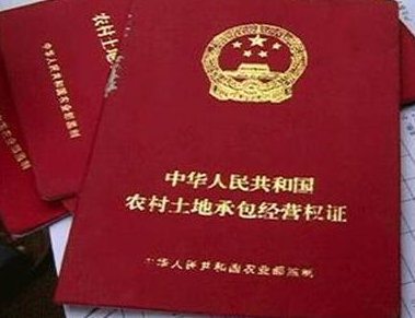 海南三亞地上森林、林木所有權(quán)注銷代辦理