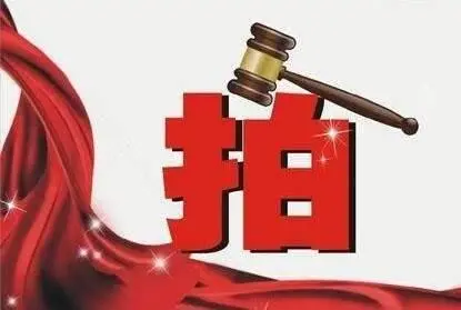 海南拍賣許可證辦理