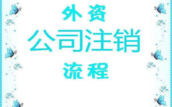 海南外資公司注銷流程